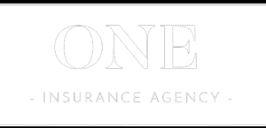 Affordable Home, Auto & Life Insurance | ONE Insurance Agency