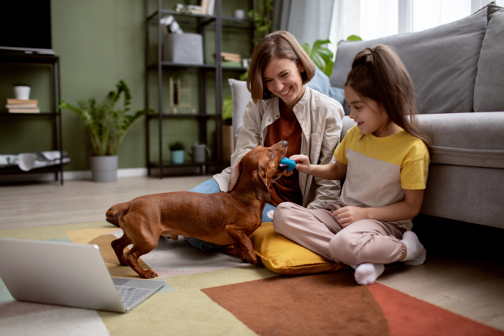 close-up-beautiful-dachshund-spending-time-with-family